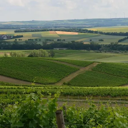 Apartment Wohnen Im Mediterranen Ehemaligen Winzergehoeft Armsheim