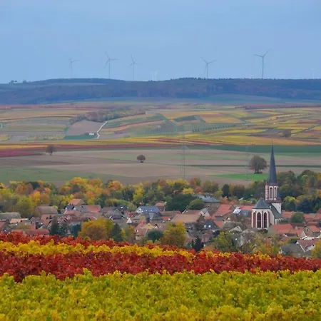 Wohnen Im Mediterranen Ehemaligen Winzergehoeft Apartment Armsheim