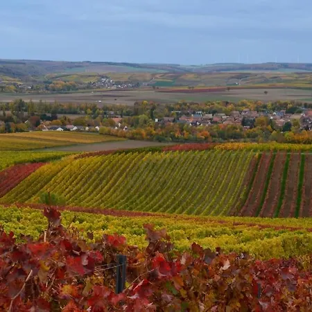 Wohnen Im Mediterranen Ehemaligen Winzergehoeft Armsheim